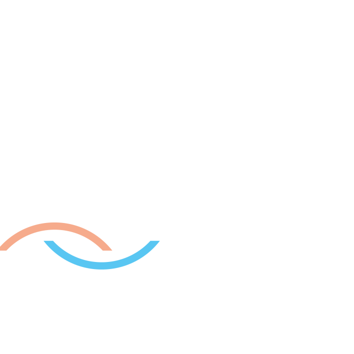 VZR Garant