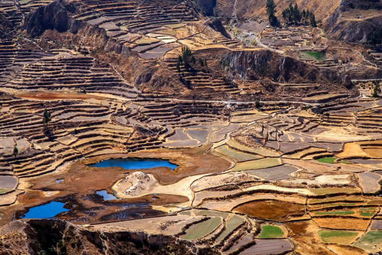 Terraced fields in the Canyon Colca in Peru